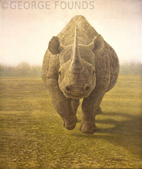 Rhino On Canvas